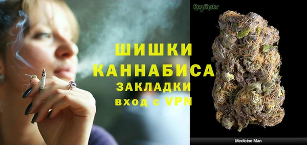 дмт Козельск