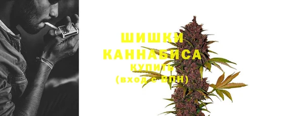 дмт Козельск